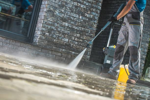 Best Roof Cleaning and Mildew Removal in Seminole, TX