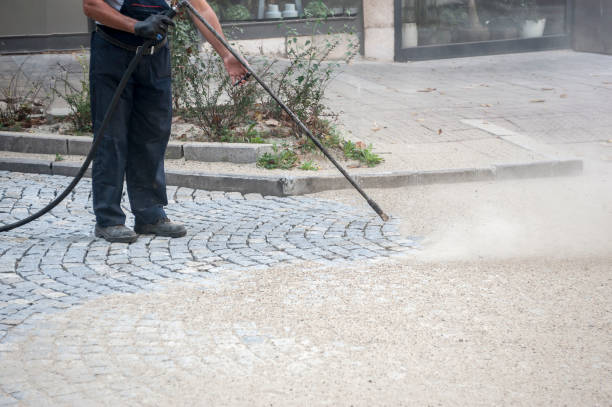 Best Fence Cleaning and Maintenance in Seminole, TX